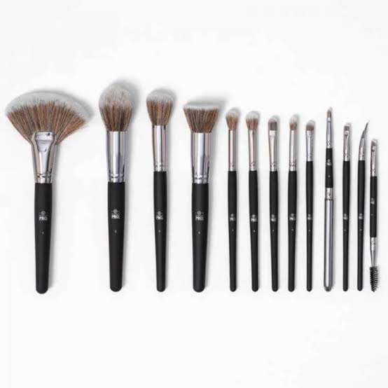 13 Pcs Makeup Brushes